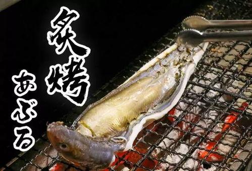 网红黑料牛奶秋刀鱼 抖音网红黑料,黑料背后的真相与反思