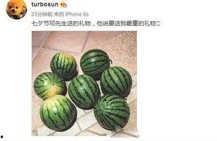 网红热瓜,揭秘网络红人的崛起与争议