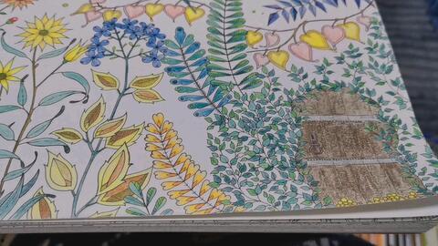 秘密花园2020,探寻未知世界的奇幻之旅